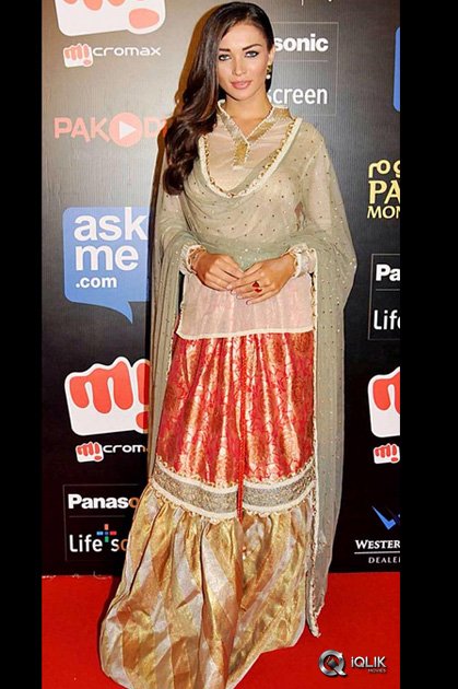 Celebs-at-SIIMA-Awards-2015